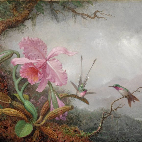 Museum Face Masks  "HUMMINGBIRDS"  Reusable - Picture 3 of 4